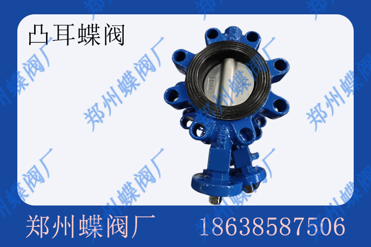 凸耳蝶閥與對(duì)夾蝶閥對(duì)比